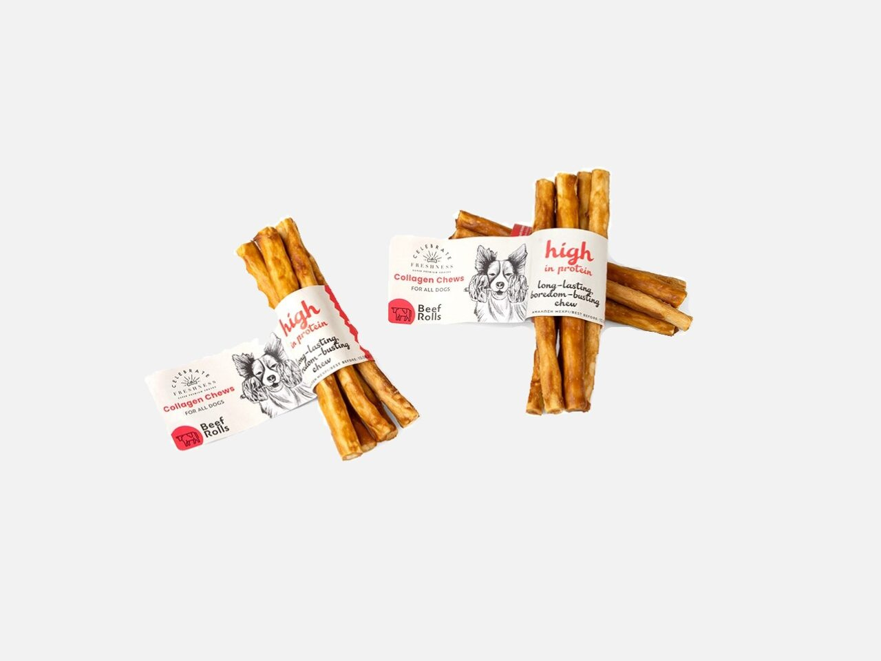 0eplr23s_removebg_preview_png_1_1_V31